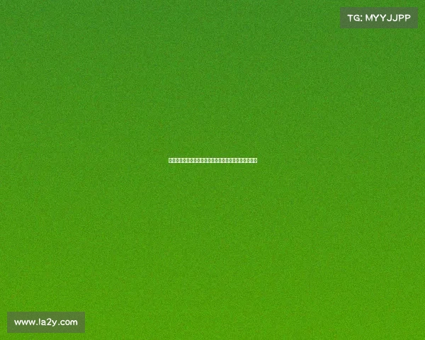 罗马诺透露利物浦对乔瓦尼莱昂尼的兴趣在近期显著增加 罗马诺透露利物浦对乔瓦尼莱昂尼的兴趣在近期显著增加