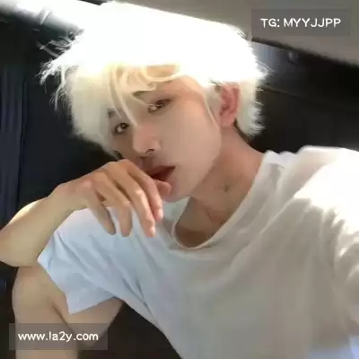 明锦柳